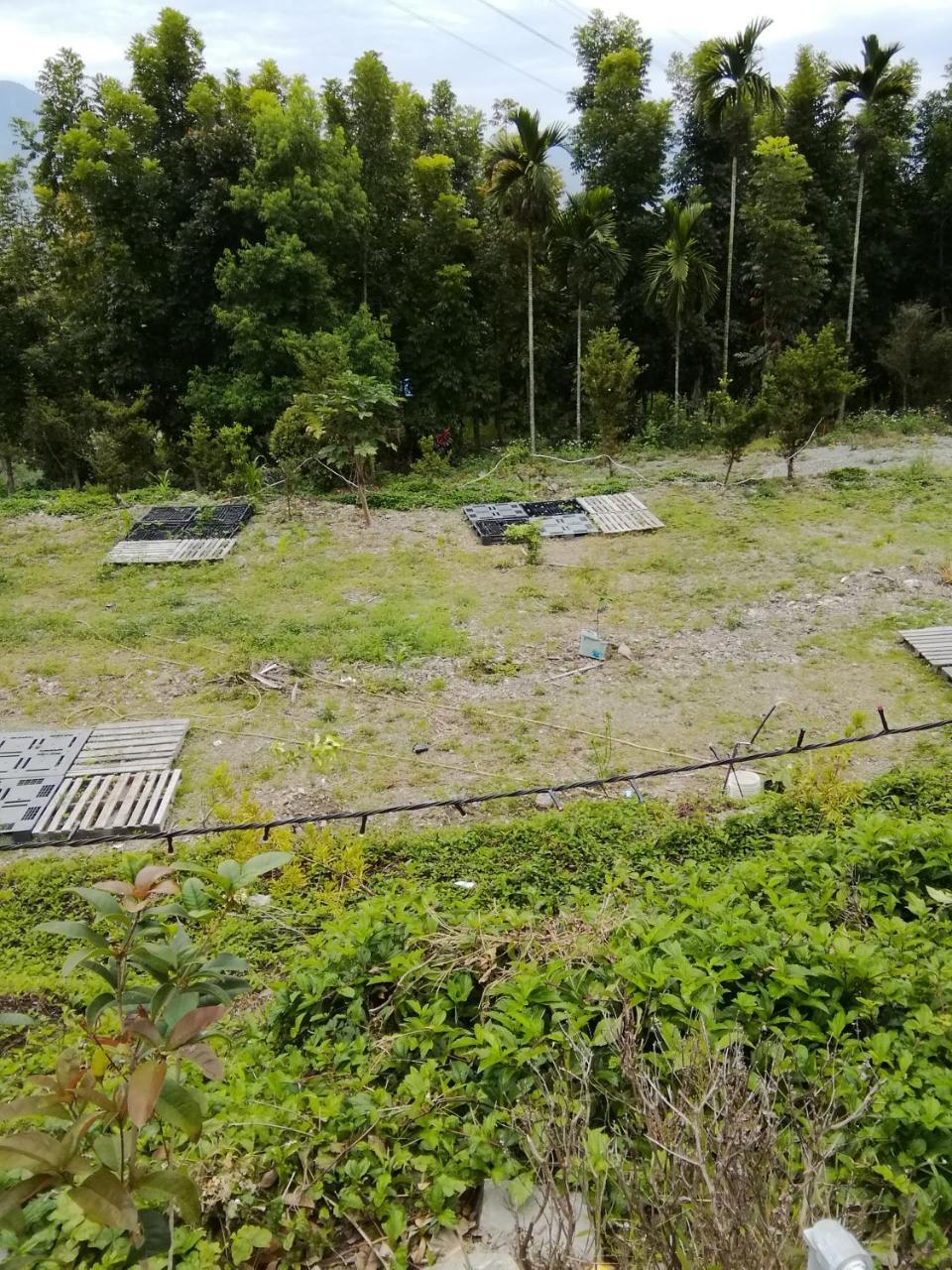 台東民宿 關山桃花心木民宿農場 Guanshan Exterior photo